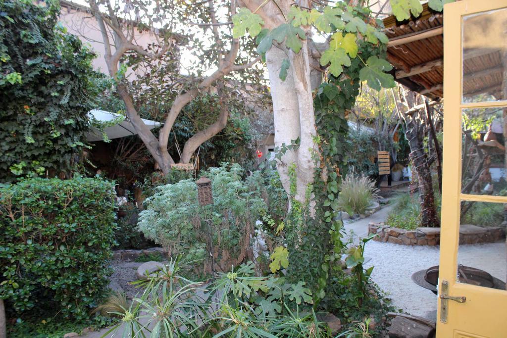 Hotel Boutique Terra Diaguita & Spa ラ・セレナ エクステリア 写真