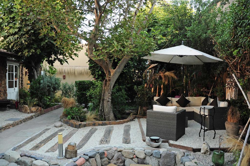 Hotel Boutique Terra Diaguita & Spa ラ・セレナ エクステリア 写真