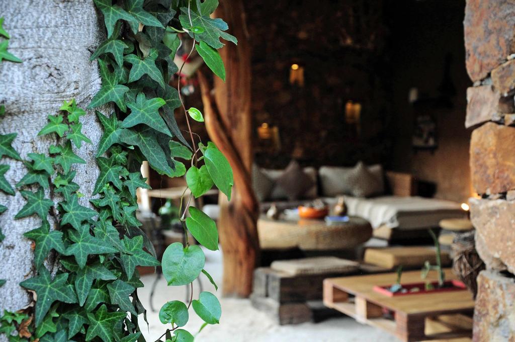 Hotel Boutique Terra Diaguita & Spa ラ・セレナ エクステリア 写真